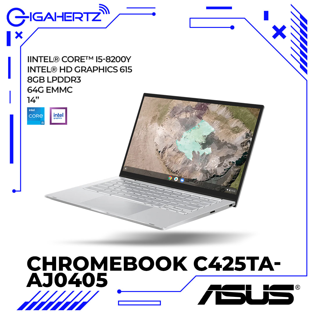 Asus Chromebook C425TA-AJ0405
