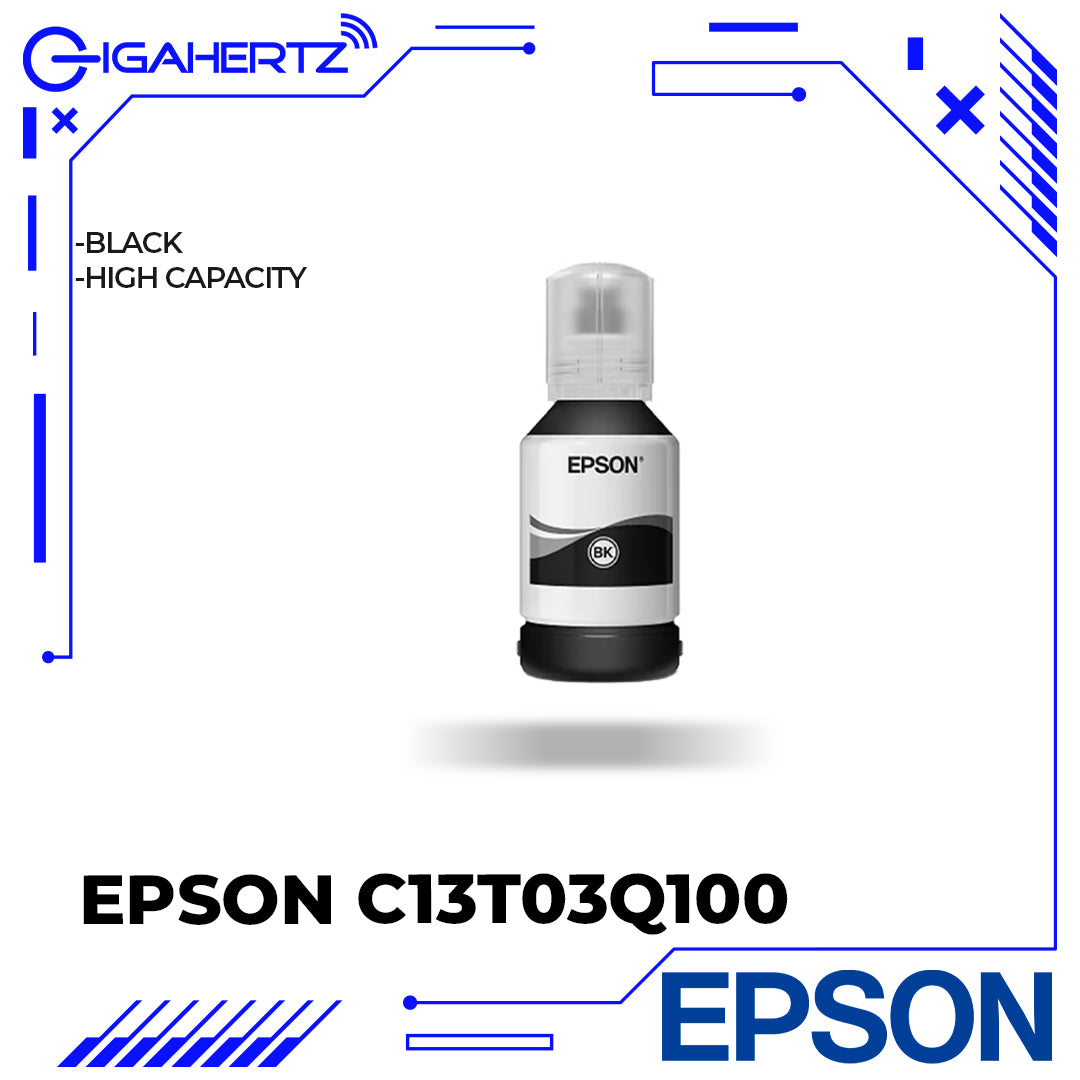 Epson C13T03Q100 Large