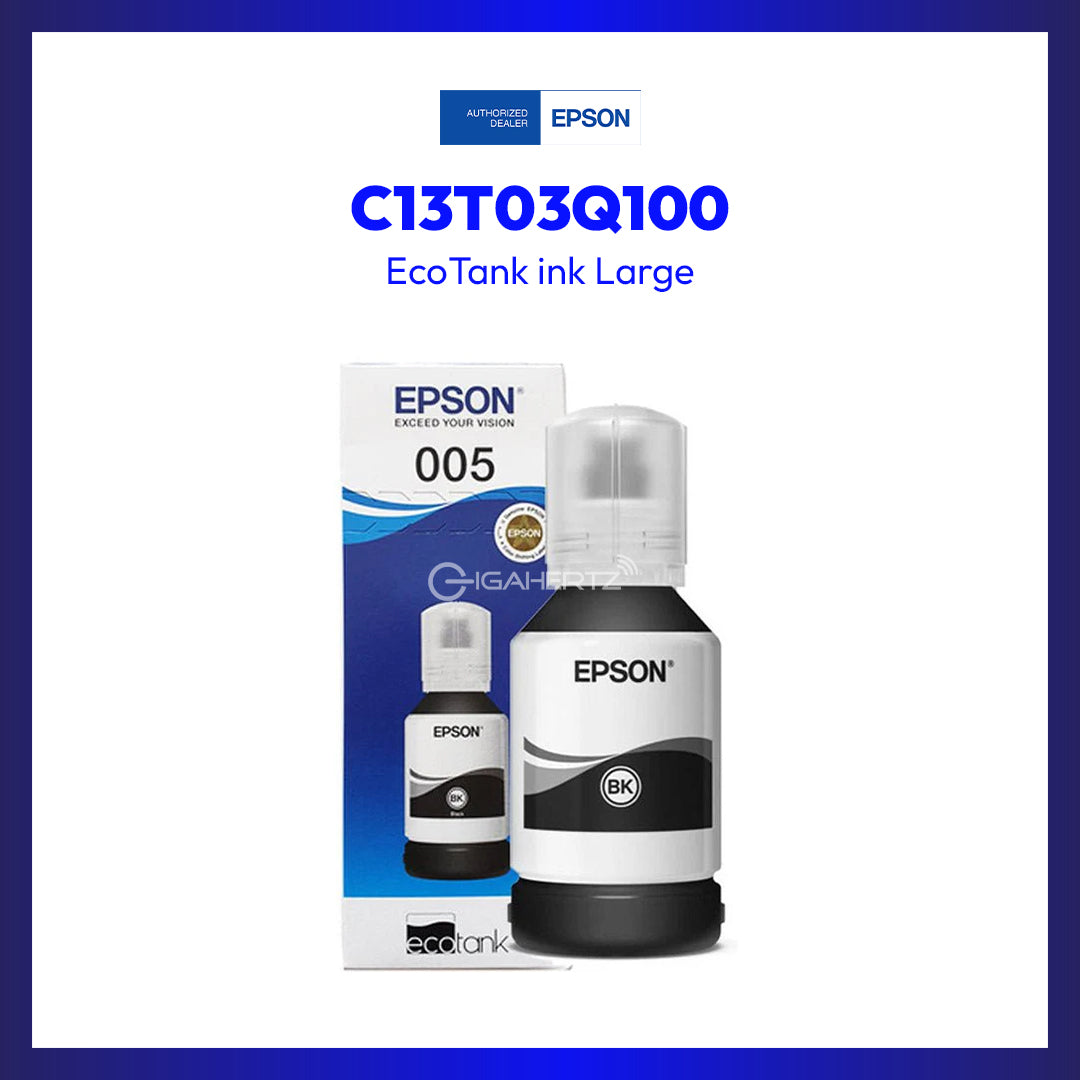 Epson C13T03Q100 Large