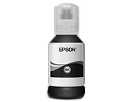 Epson C13T03Q100 Large