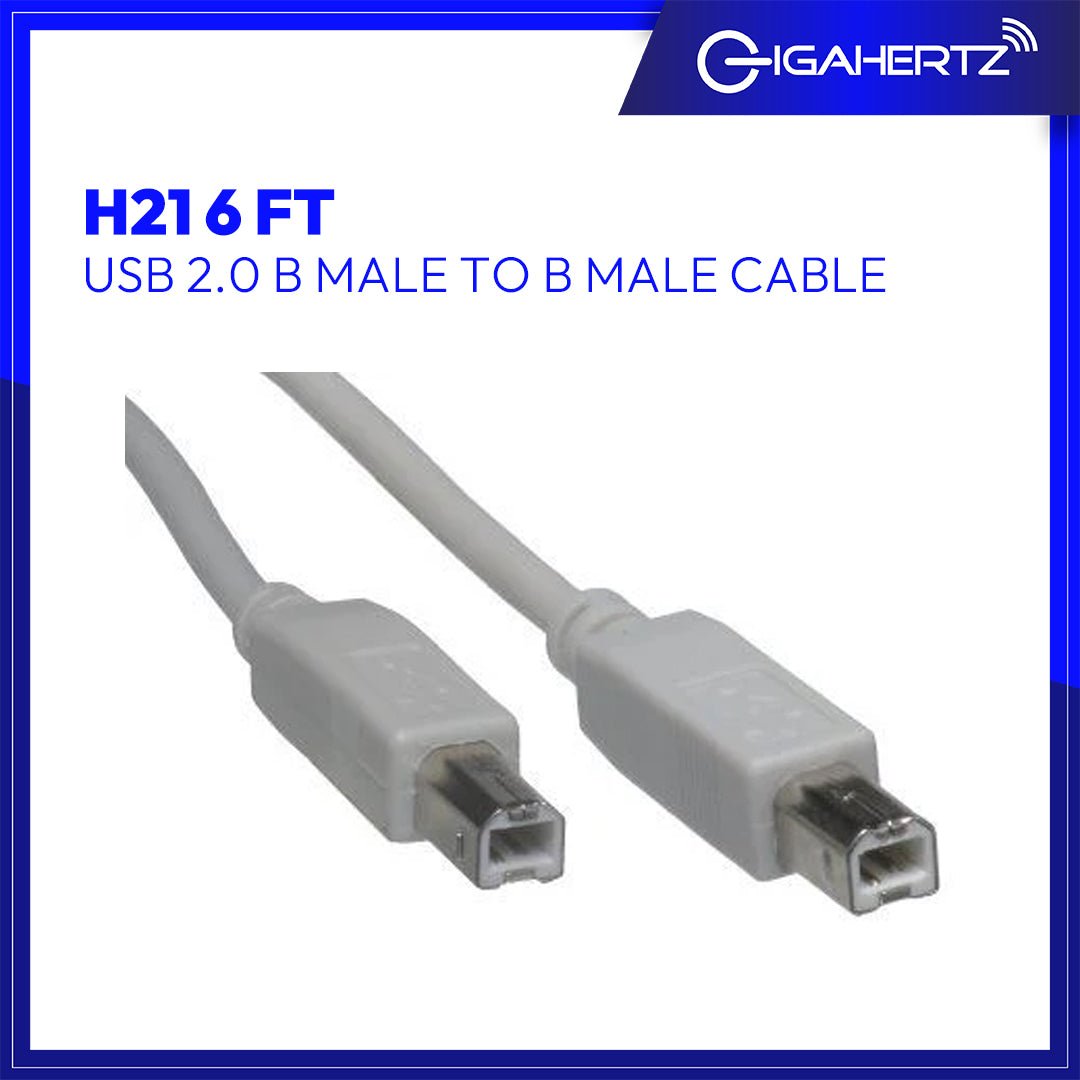 Gen H21 USB 2.0 B Male to B Male Cable 6 FT. | Gigahertz