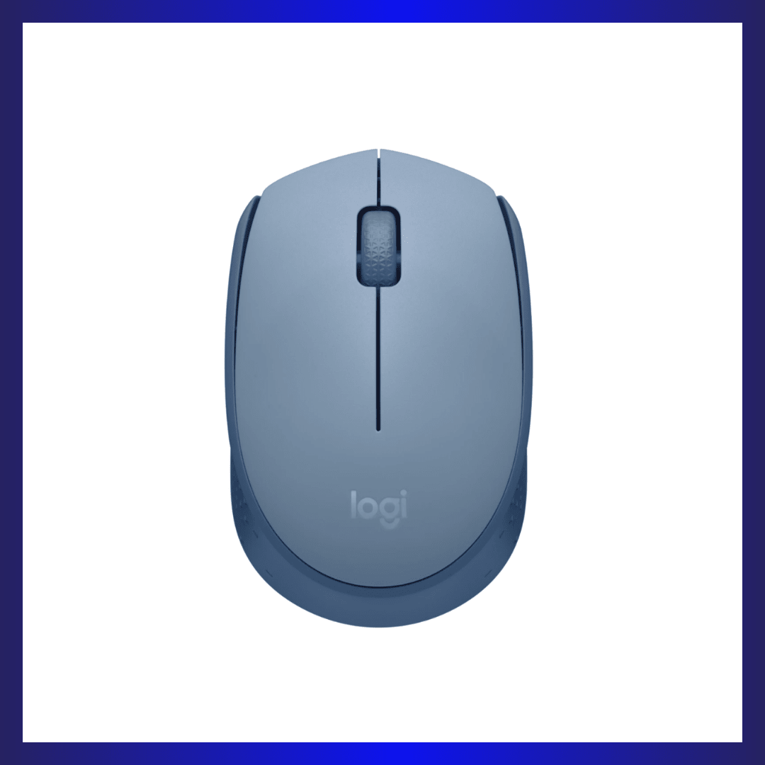 Logitech M171 | Optical Sensor | 2.4GHz Wireless | Ambidextrous Design | Blue-Grey | GigaHertz
