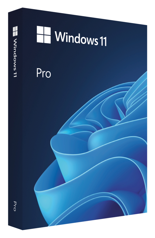 Microsoft Windows 11 Pro 64Bit Eng Intl 1pk DSP OEI DVD