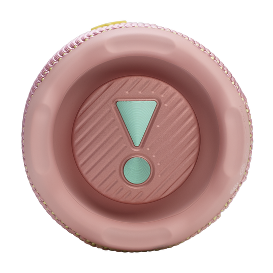 JBL Flip 7 (Pink)