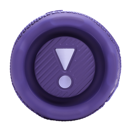 JBL Flip 7 (Purple)
