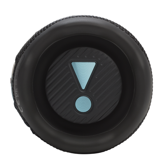 JBL Flip 7 (Funky Black)