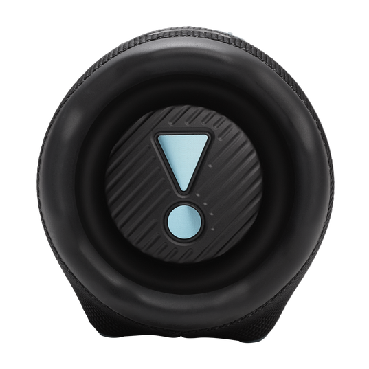 JBL Charge 6 (Funky Black)