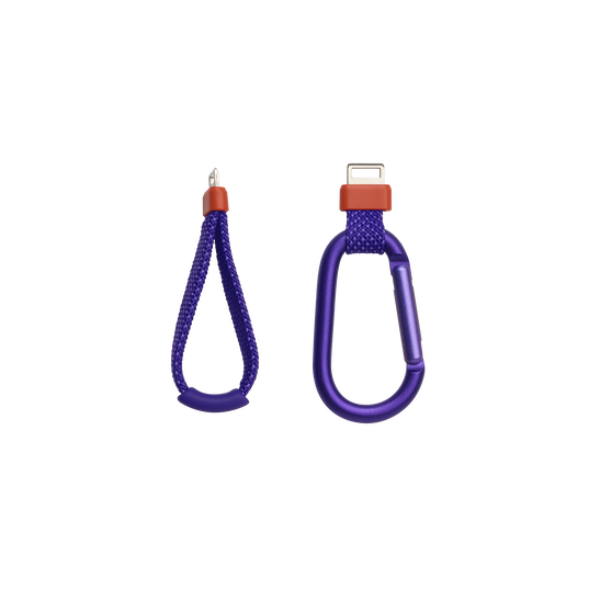 JBL Flip 7 (Purple)