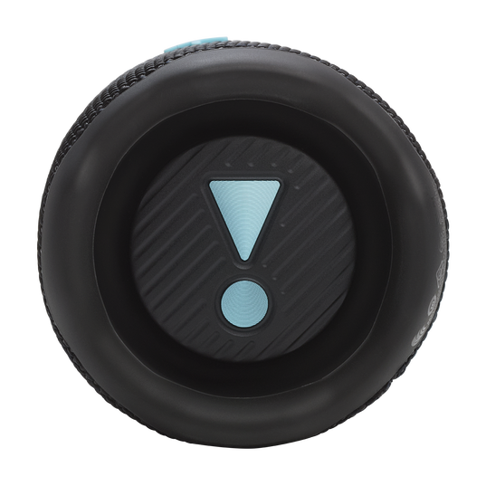 JBL Flip 7 (Funky Black)