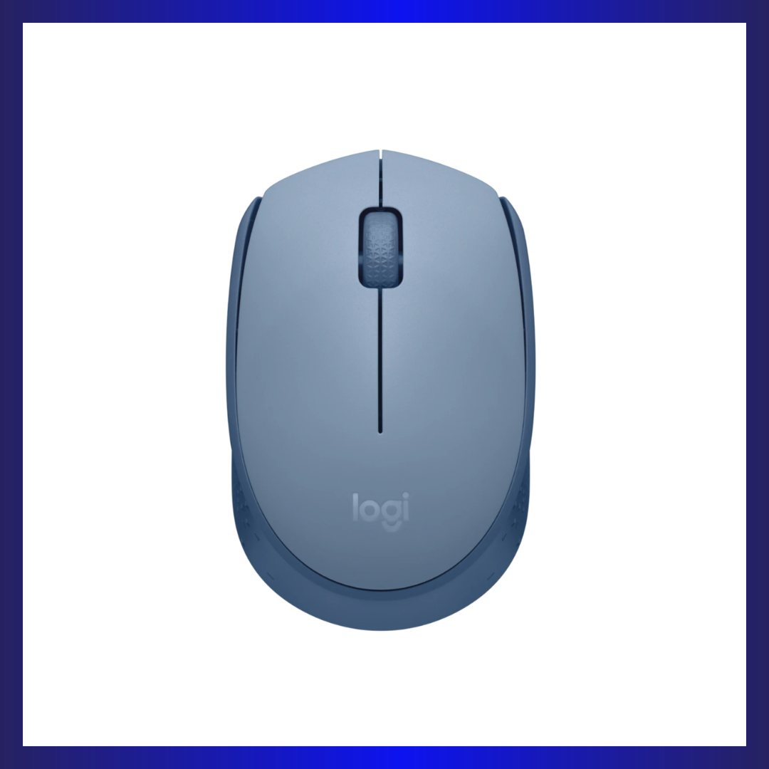 Logitech M171 | Optical Sensor | 2.4GHz Wireless | Ambidextrous Design | Blue-Grey