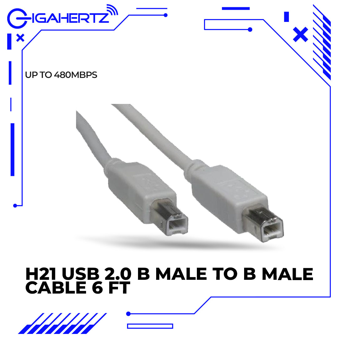 Gen H21 USB 2.0 B Male to B Male Cable 6 FT.