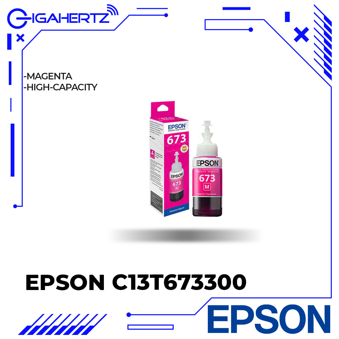 Epson T673 Cartridges