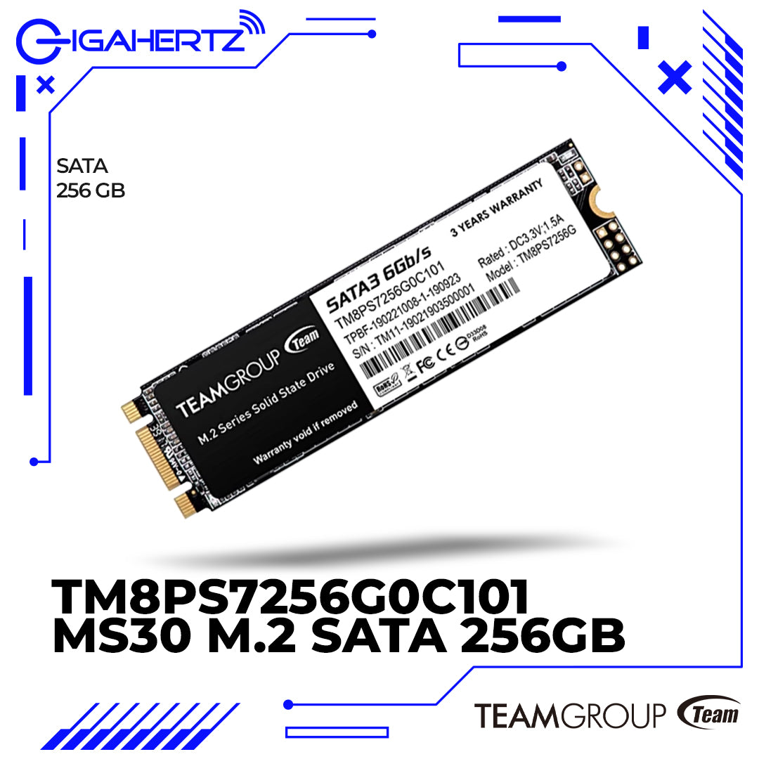 TeamGroup TM8PS7256G0C101 MS30 M.2 SATA 256GB