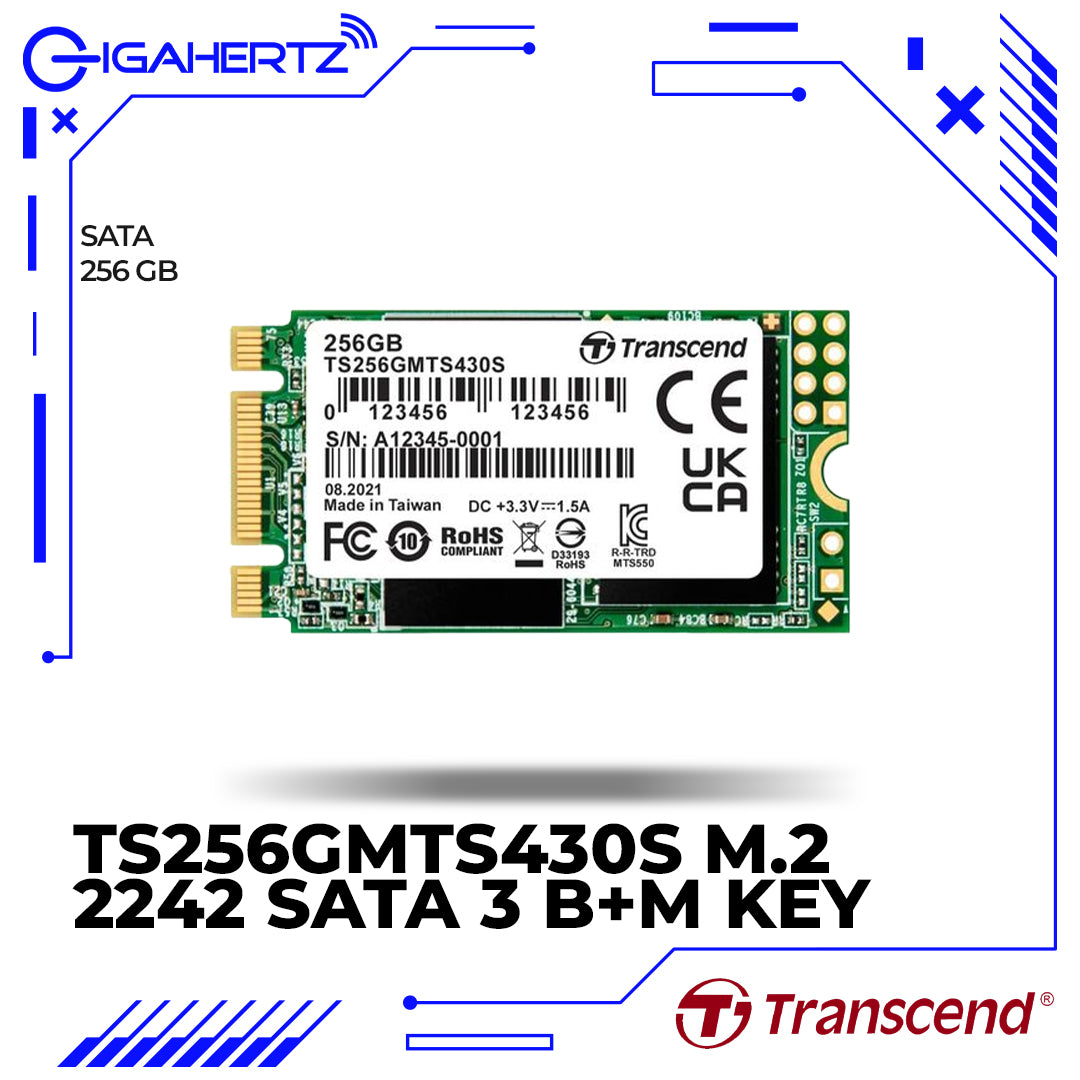 TRANSCEND TS256GMTS430S 256GB