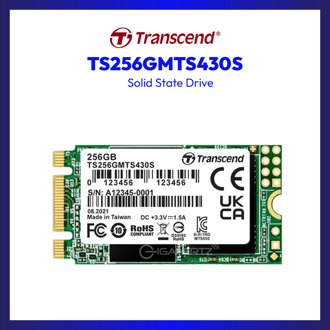 TRANSCEND TS256GMTS430S 256GB