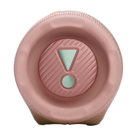 JBL Charge 6 (Pink) | GigaHertz