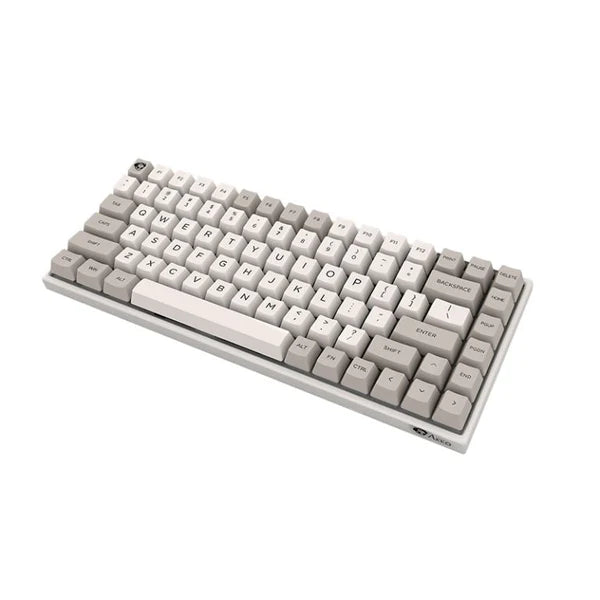 Akko 9009 Retro 3084 Mechanical Keyboard