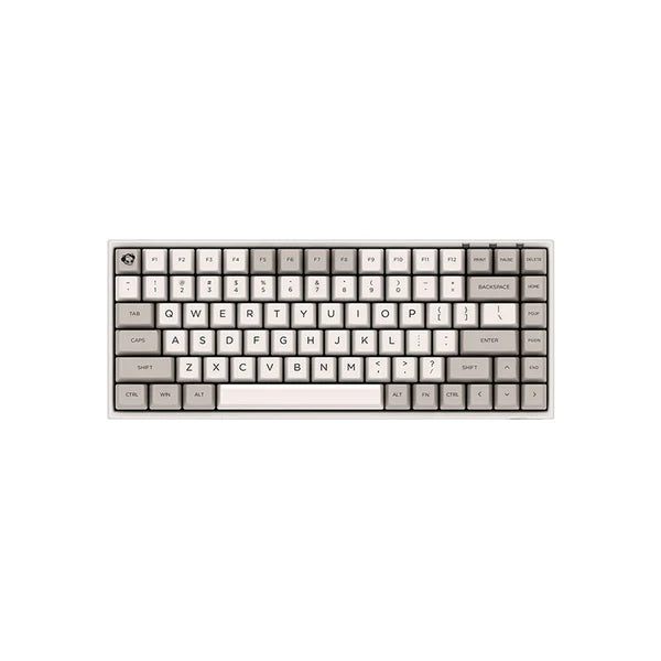 Akko 9009 Retro 3084 Mechanical Keyboard