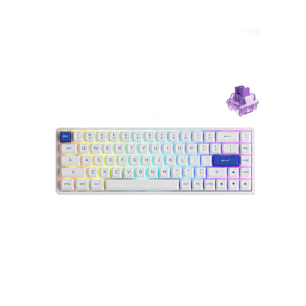 Akko Blue On White 3068B Plus Multi-Modes RGB Mechanical Keyboard