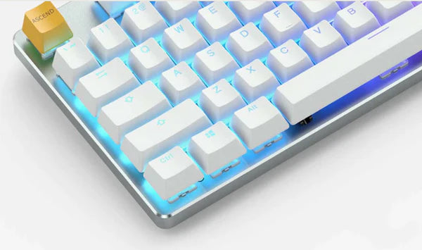 Glorious Gaming Race Modular Mechanical Keyboard GMMK (Full Size) (Brown Switches)