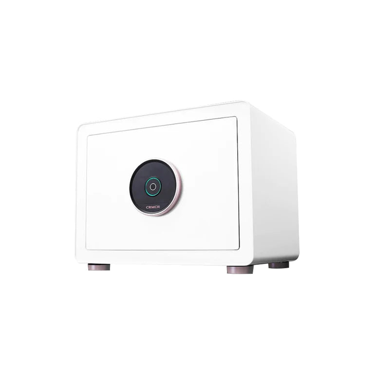 Xiaomi Mi Smart Fingerprint Safe Box