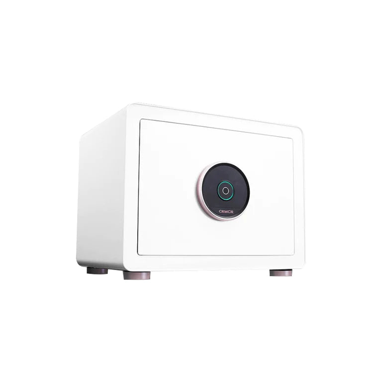 Xiaomi Mi Smart Fingerprint Safe Box
