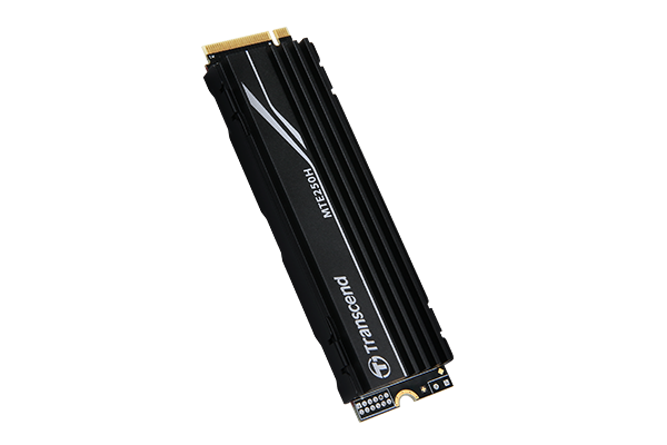 Transcend PCIe SSD 250H