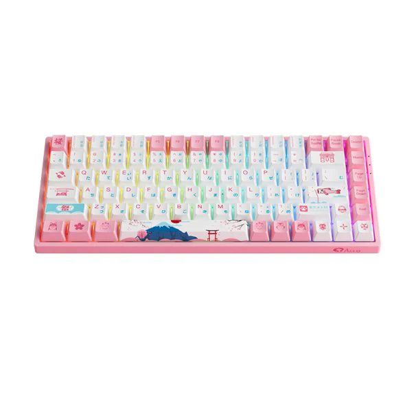 Akko World Tour Tokyo R2 3084B Plus Mechanical Keyboard