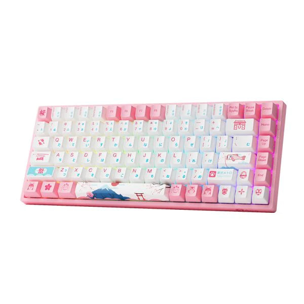 Akko World Tour Tokyo R2 3084B Plus Mechanical Keyboard