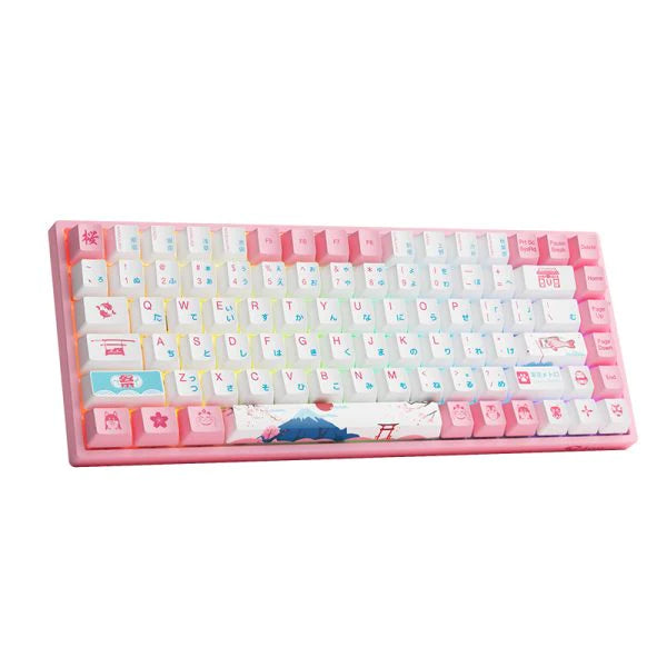 Akko World Tour Tokyo R2 3084B Plus Mechanical Keyboard