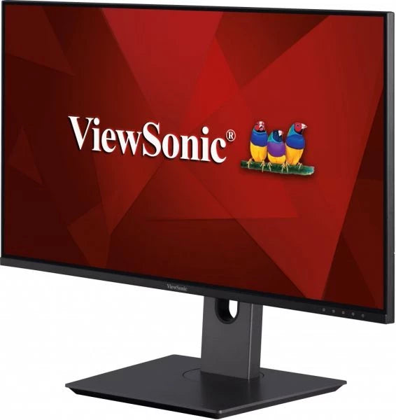 ViewSonic VX2480-SHDJ 24” IPS Entertainment Monitor