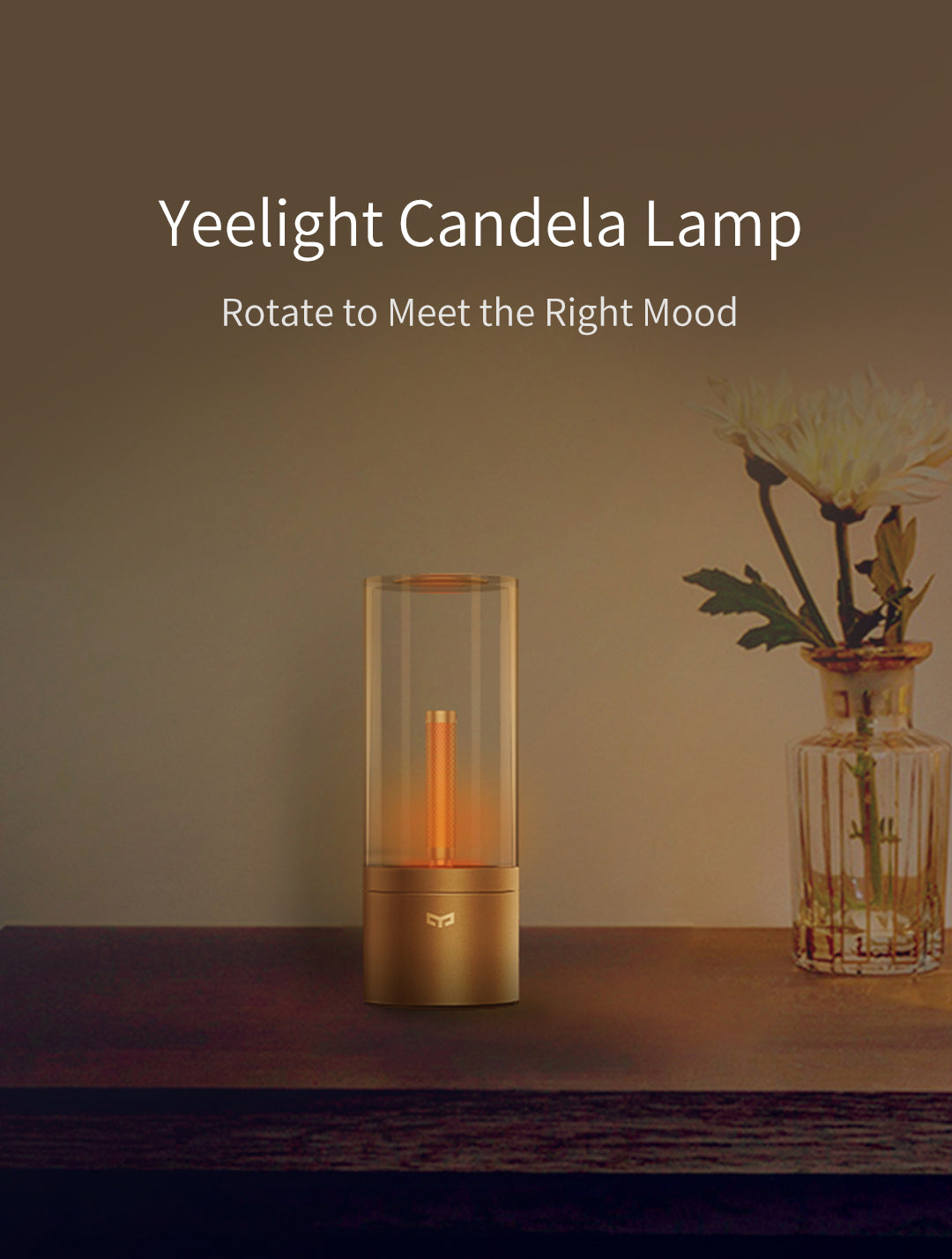 Xiaomi Mijia Yeelight Atmosphere LED Lamp